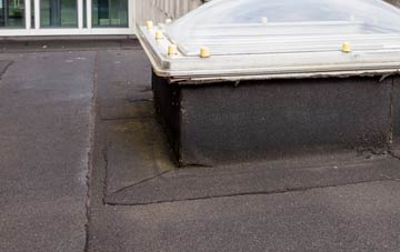 disadvantages of The Blythe flat roofs