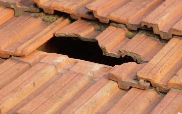 roof repair The Blythe, Staffordshire